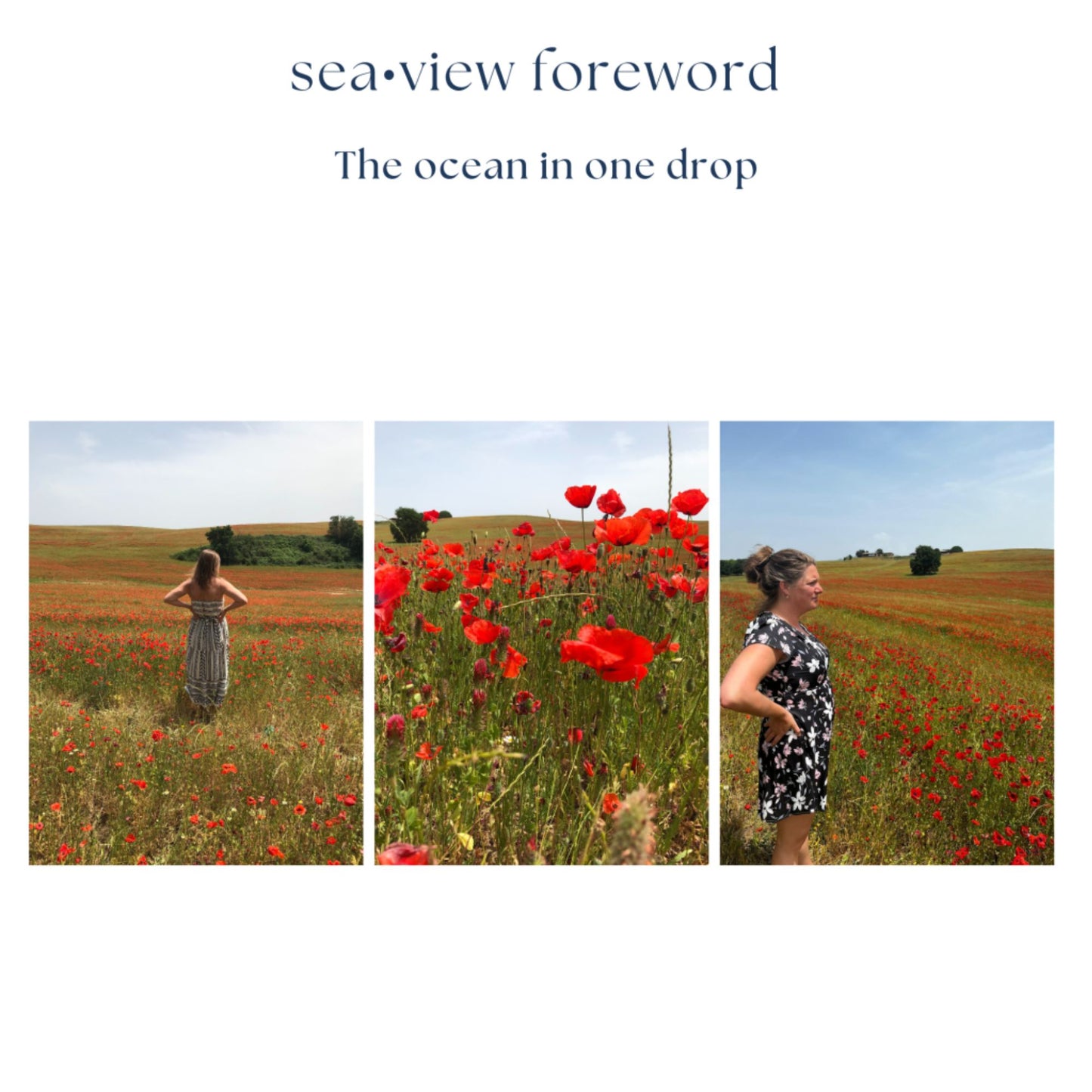 Book Sea View English